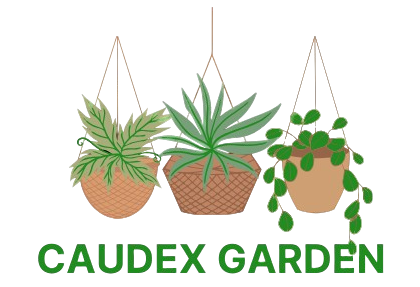Caudex Garden